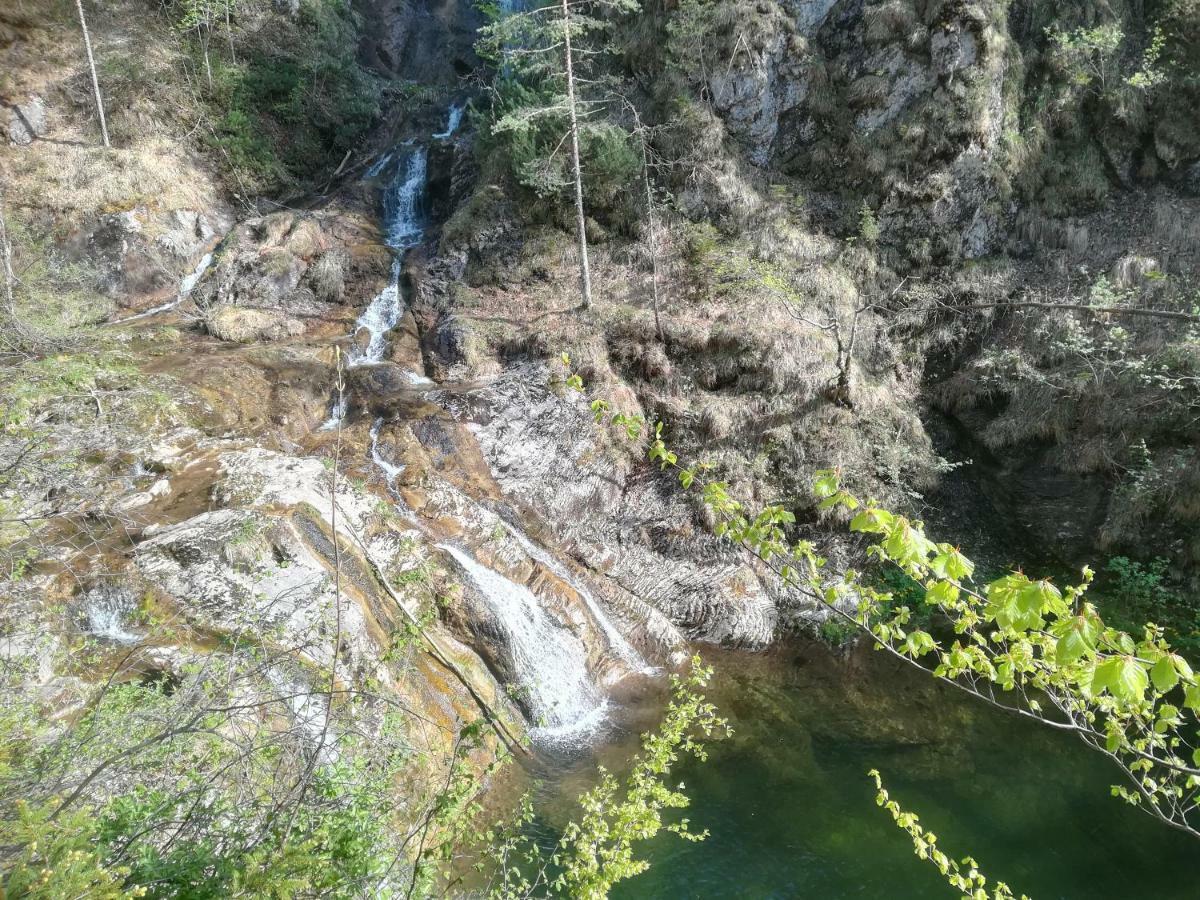 Berghof Ξενοδοχείο Gaming Εξωτερικό φωτογραφία