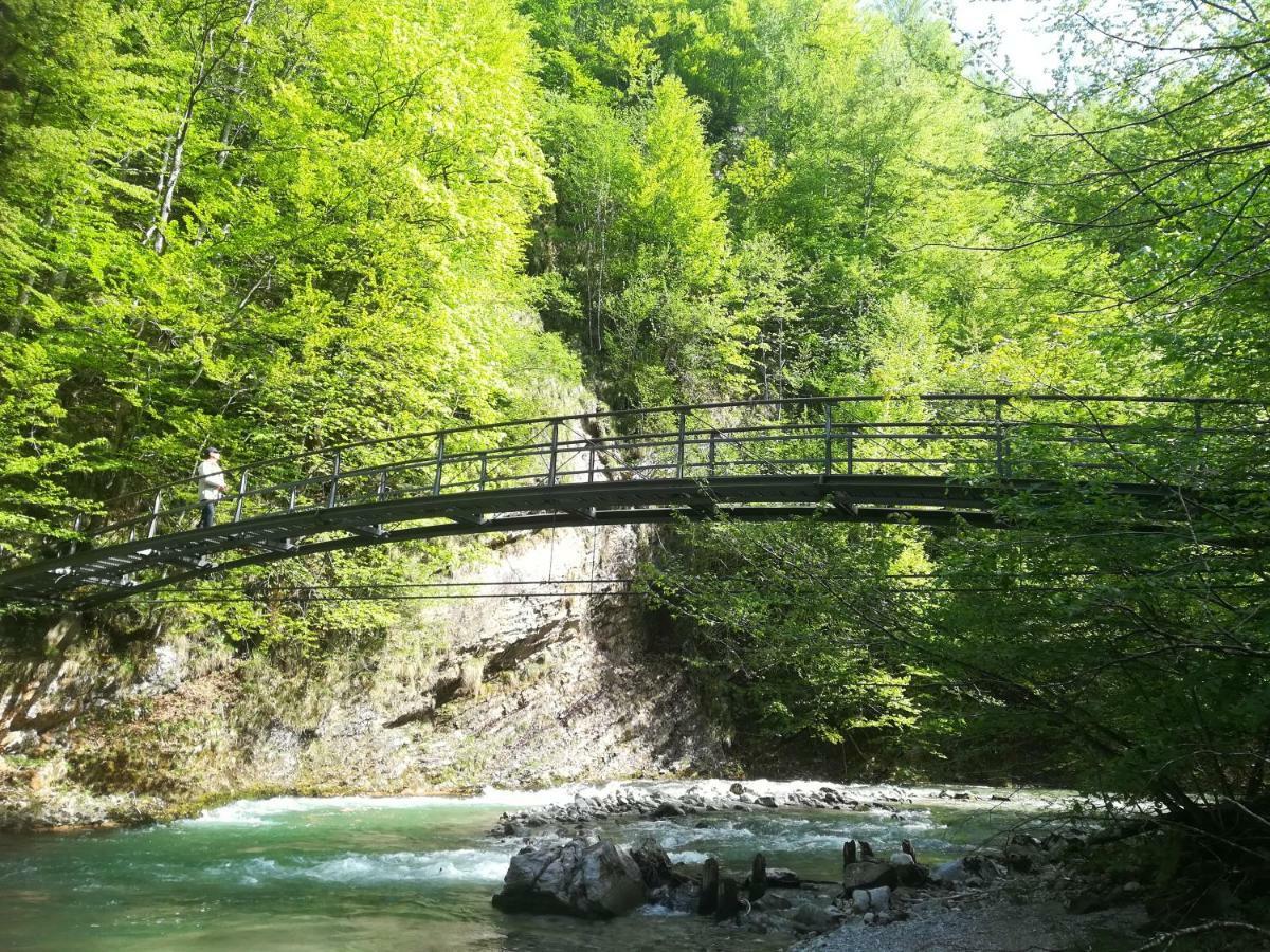 Berghof Ξενοδοχείο Gaming Εξωτερικό φωτογραφία